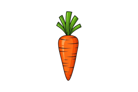 Bright Orange Carrot with Green Tops